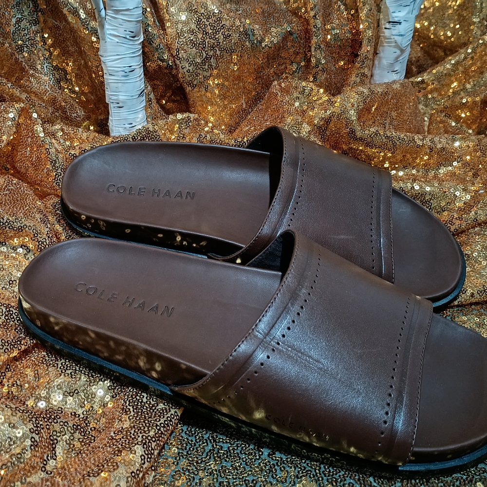 Cole Haan Men's Dark Brown Slide Sandals